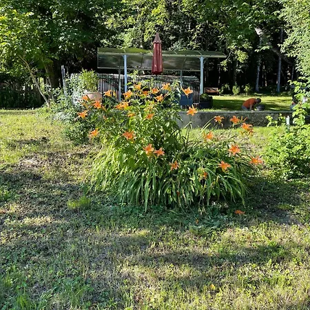 In Steindorf Am Ossiacher By Interhome * Steindorf am Ossiacher See